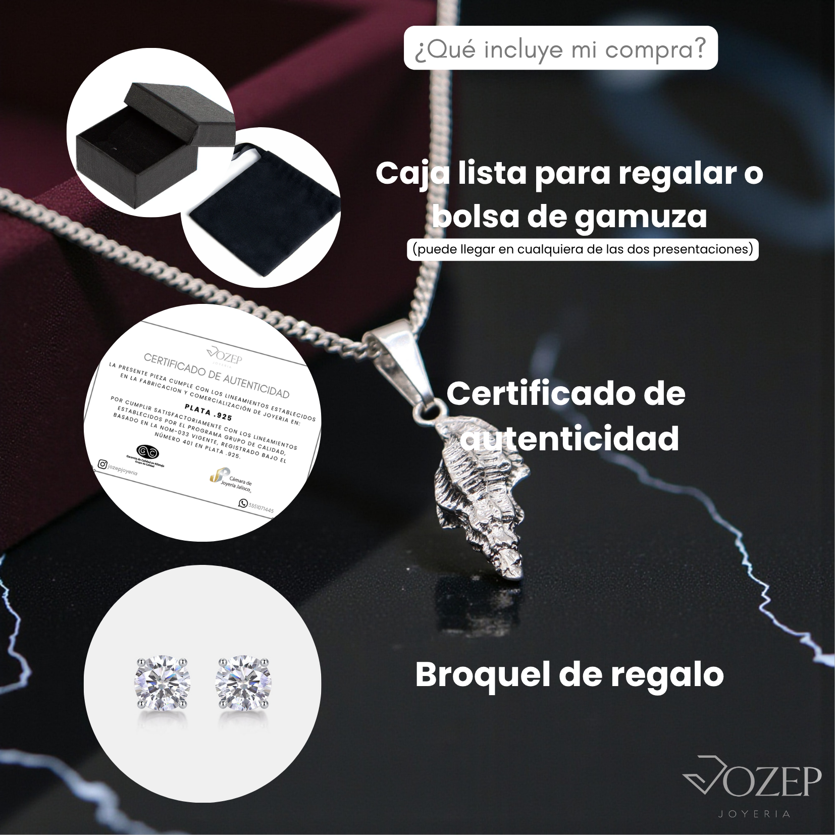 Dije Caracol Marino Plata 925 Con Cadena Regalo Mujer