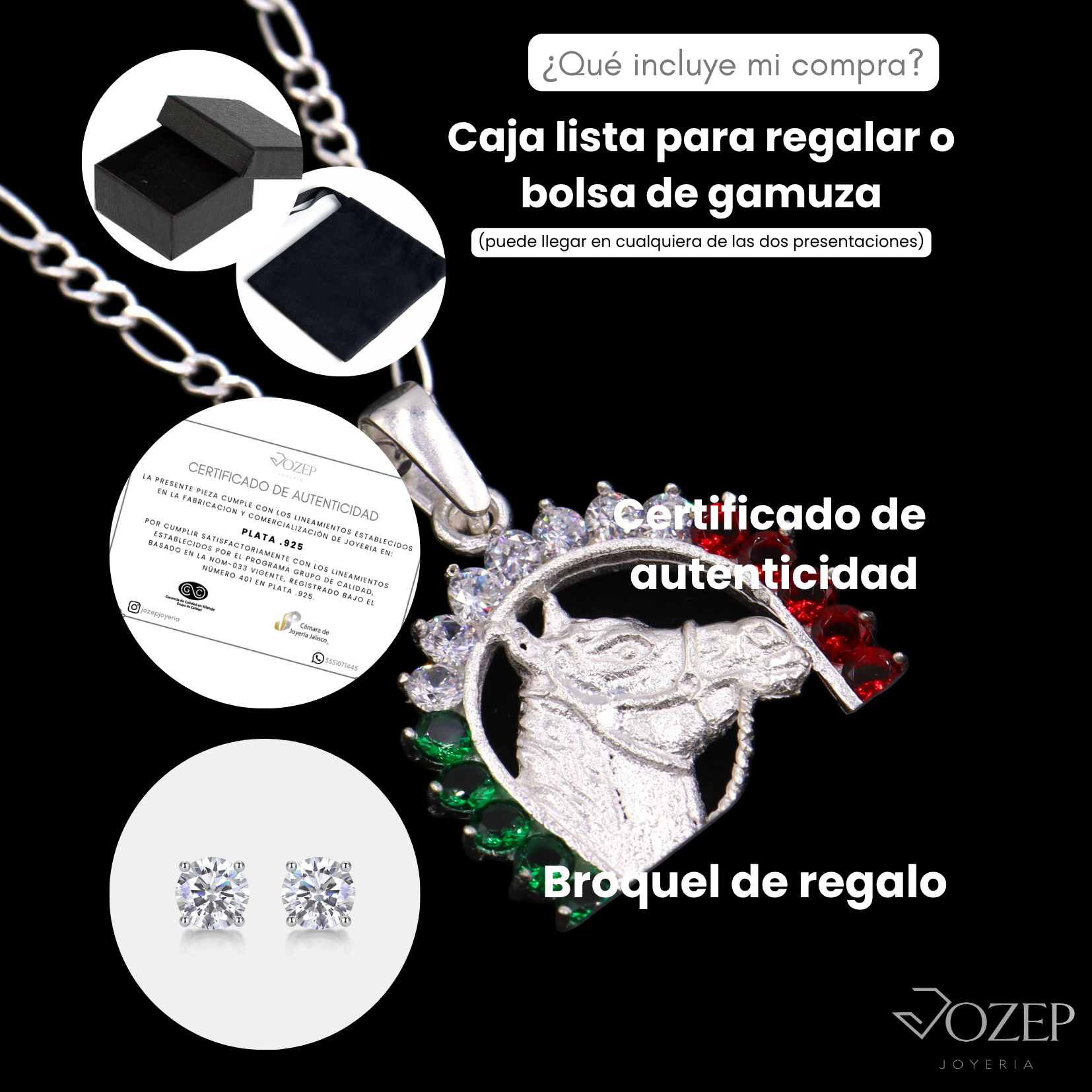 Dije Caballo Tricolor Plata 925 Con Cadena Hombre