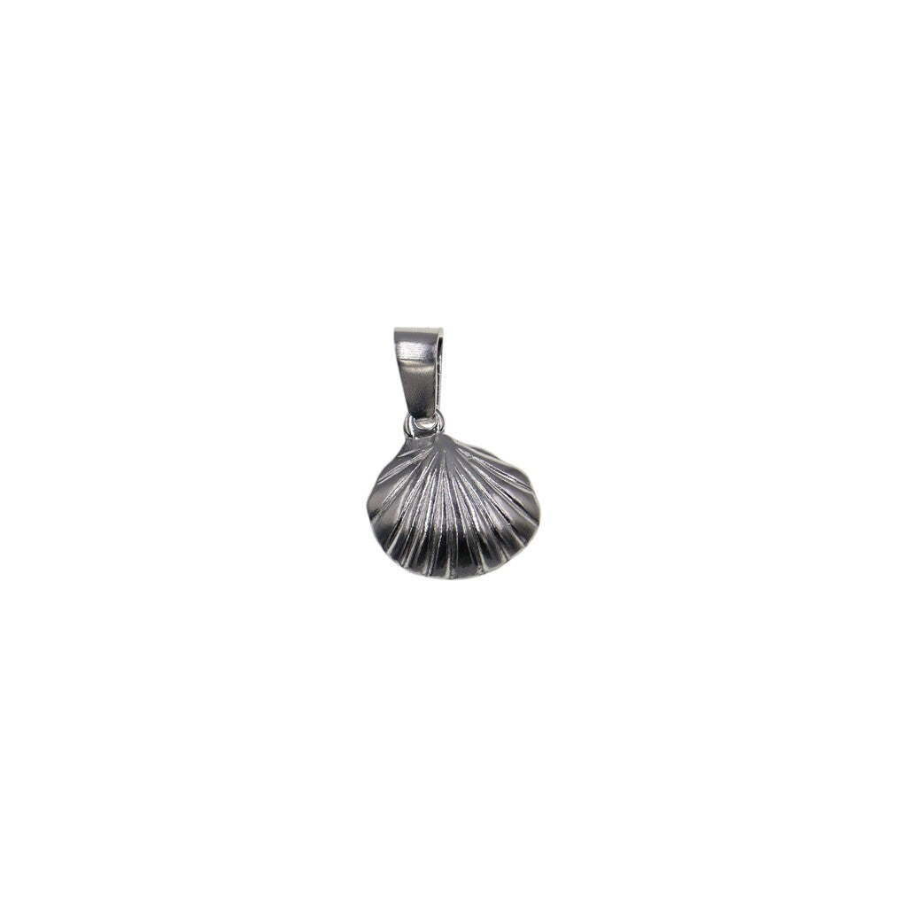 Dije De Concha + Cadena En Plata .925