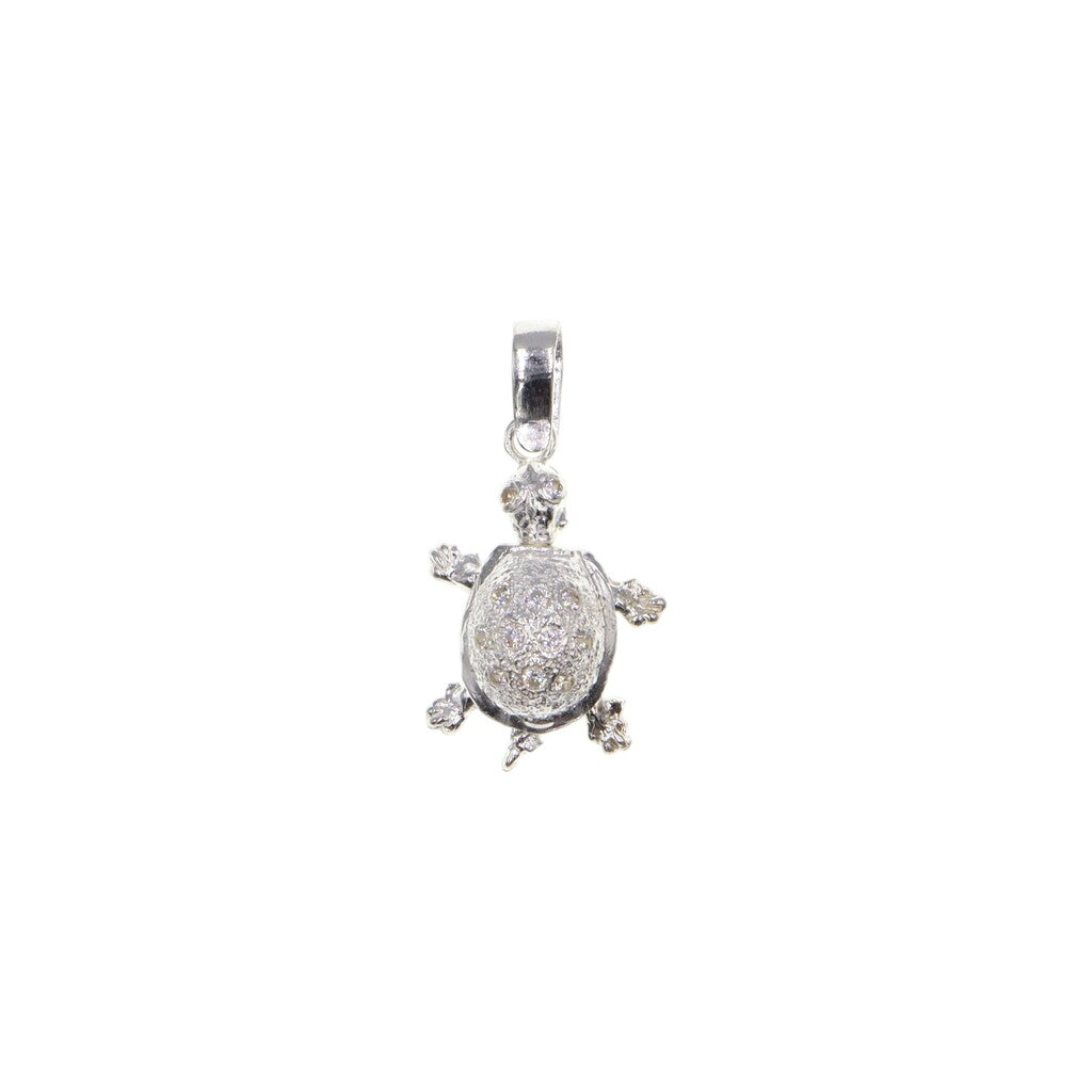 Dije De Tortuga + Cadena en Plata .925