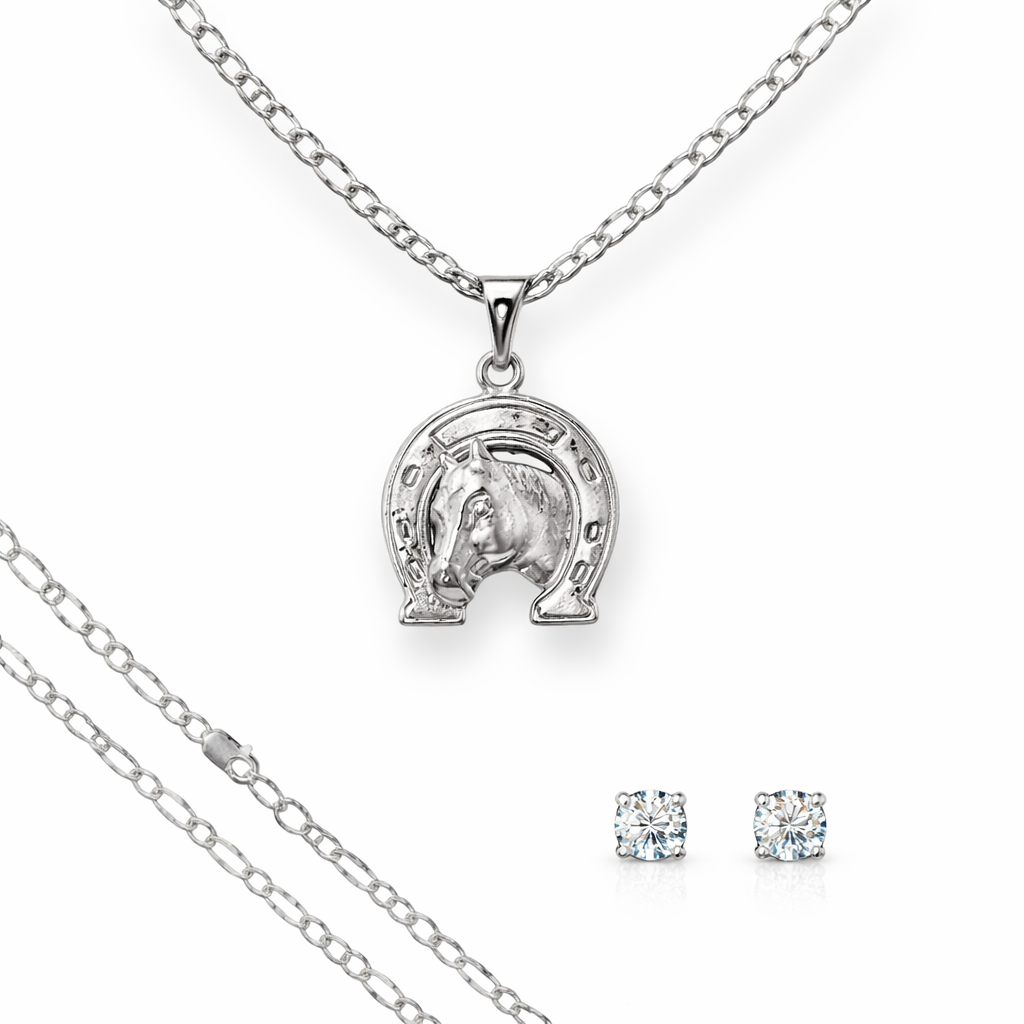 Dije Caballo Herradura Plata 925 Con Cadena Hombre Regalo