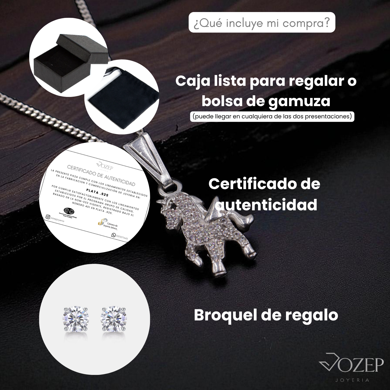 Dije De Caballo + Cadena en Plata .925