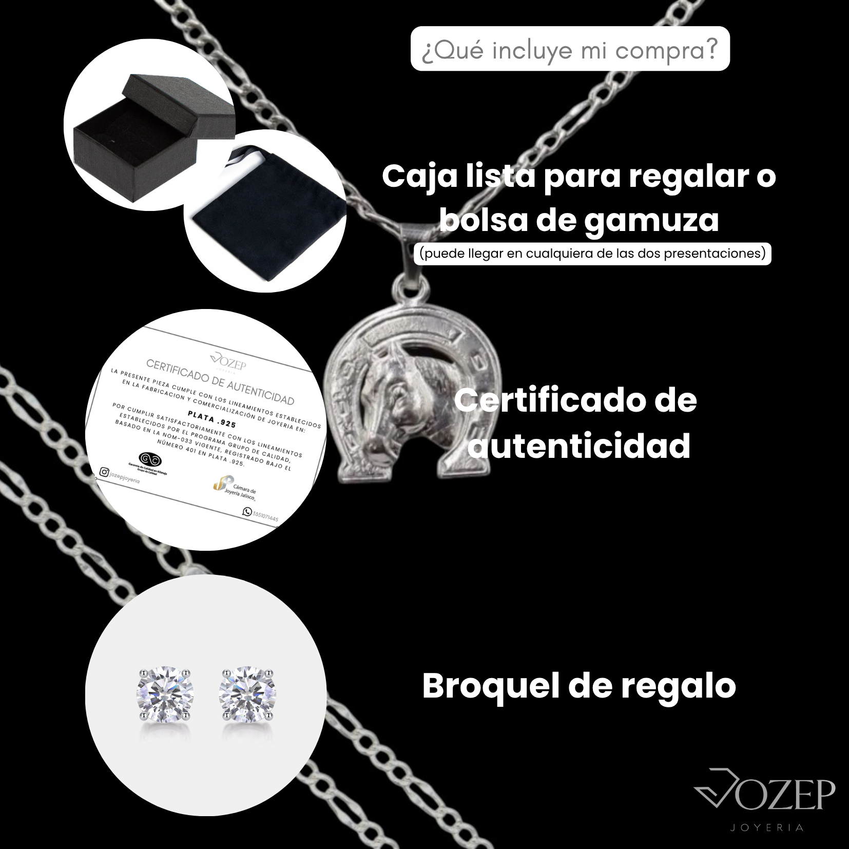 Dije Caballo Herradura Plata 925 Con Cadena Hombre Regalo