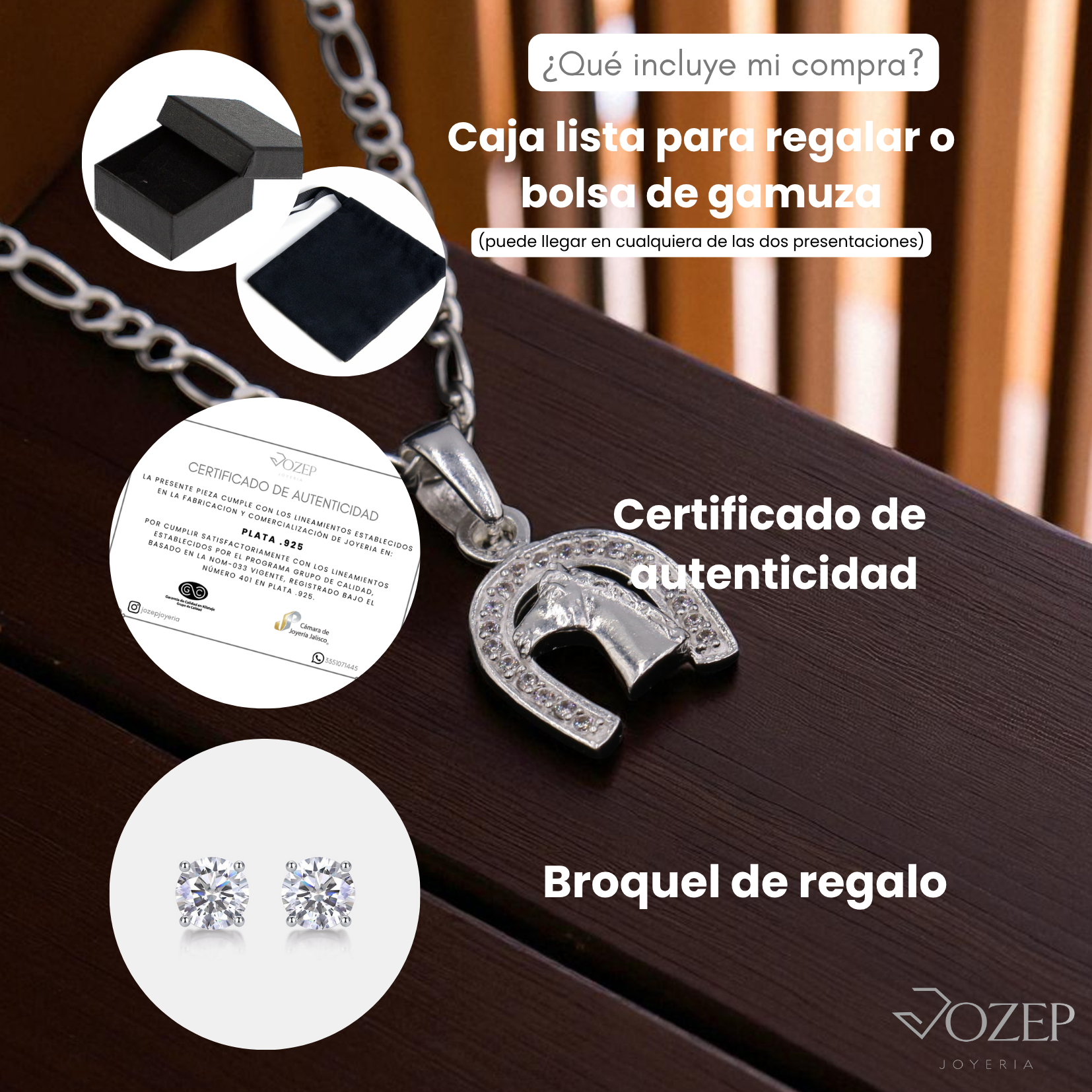 Dije Herradura Plata 925 Con Cadena Suerte Mujer Brillo