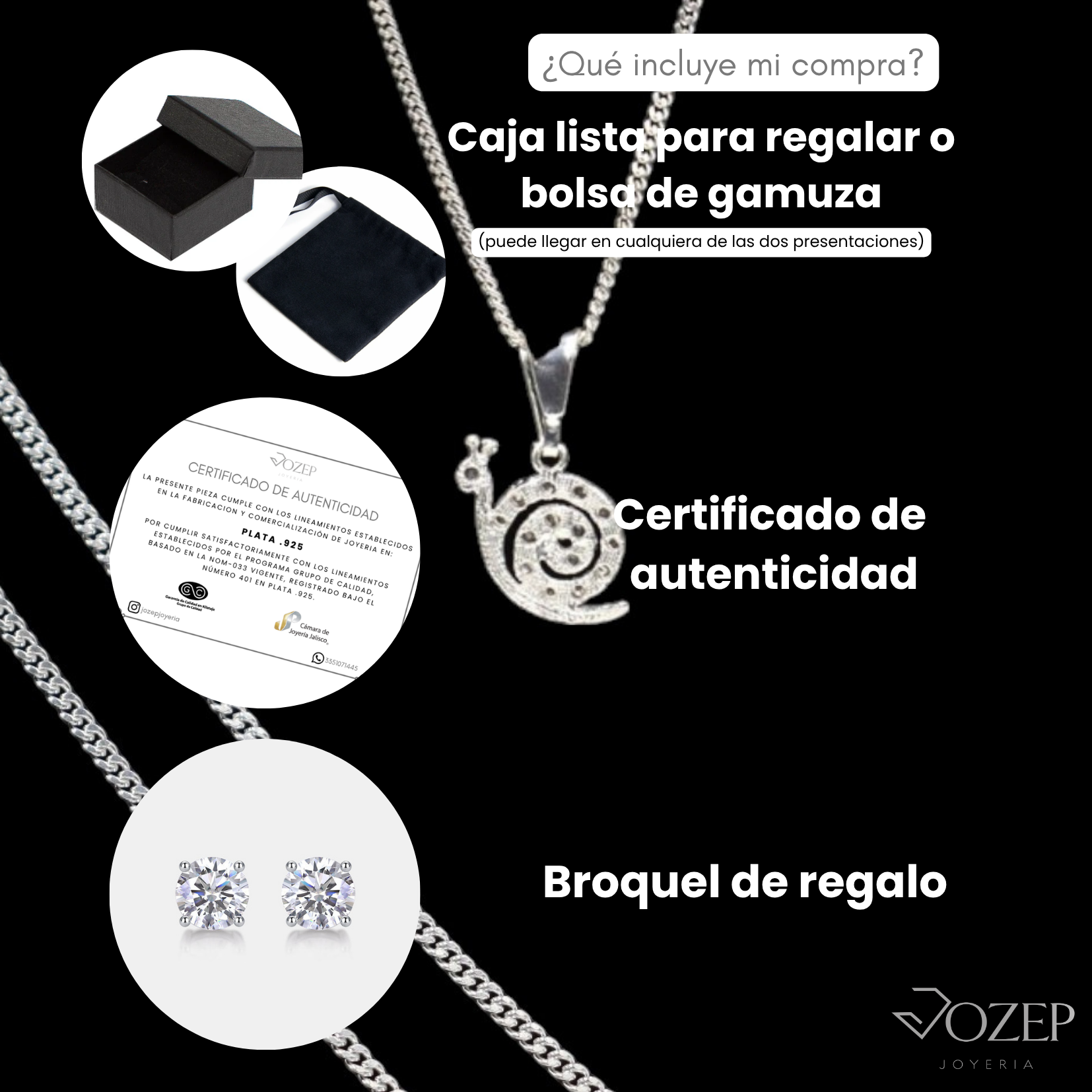 Dije Caracol Plata 925 Con Cadena Regalo Bonito Mujer
