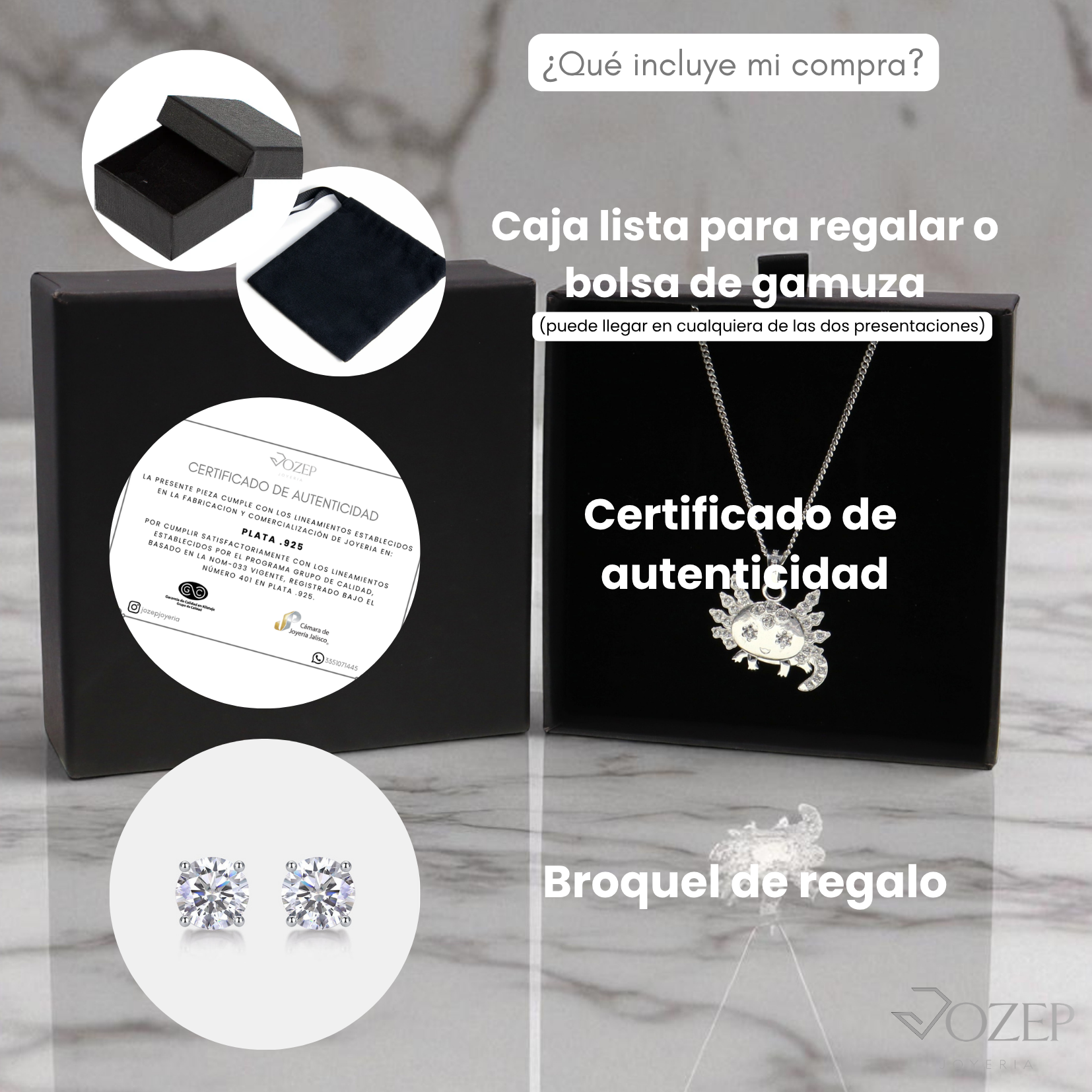 Dije Ajolote Plata 925 Mujer Regalo Original Divertido