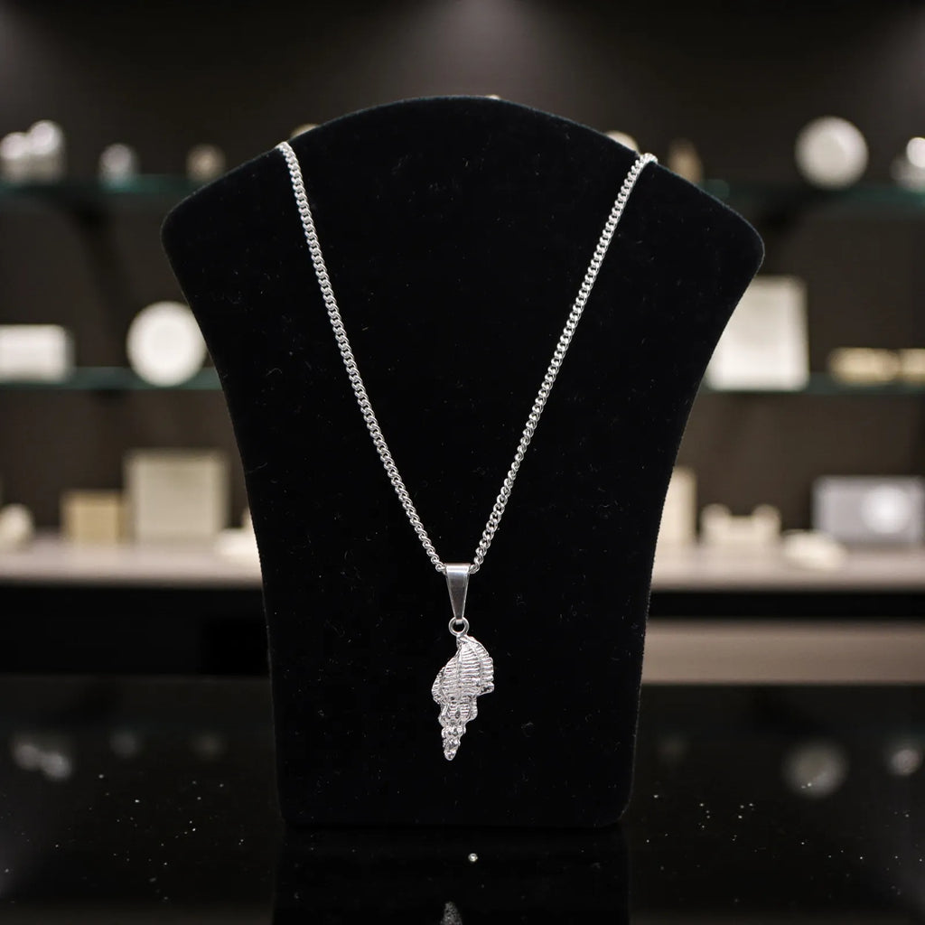 Dije De Caracola + Cadena en Plata .925