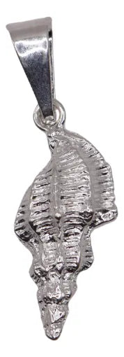 Dije De Caracola + Cadena en Plata .925