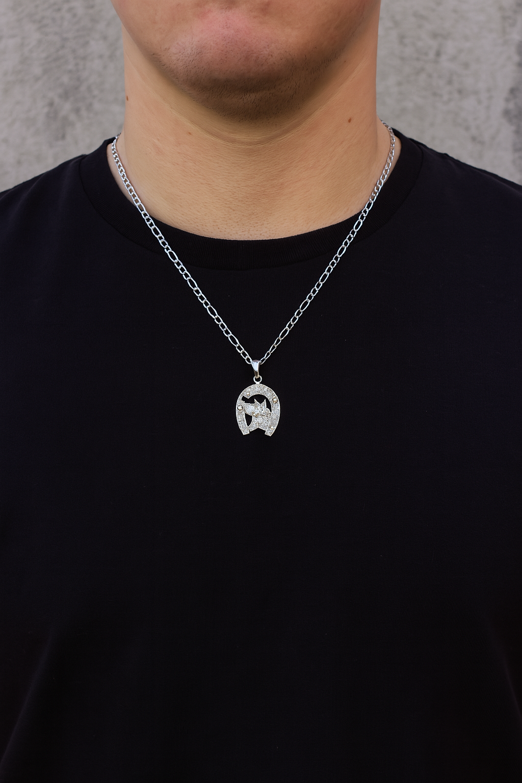 Dije Caballo Herradura + Cadena en Plata .925