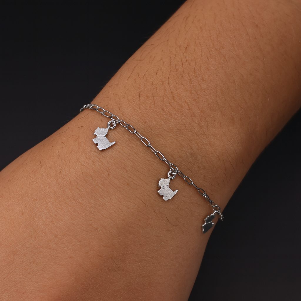 Pulso De Plata .925 Estilo Barbado Con Dijes Perro 17 cm