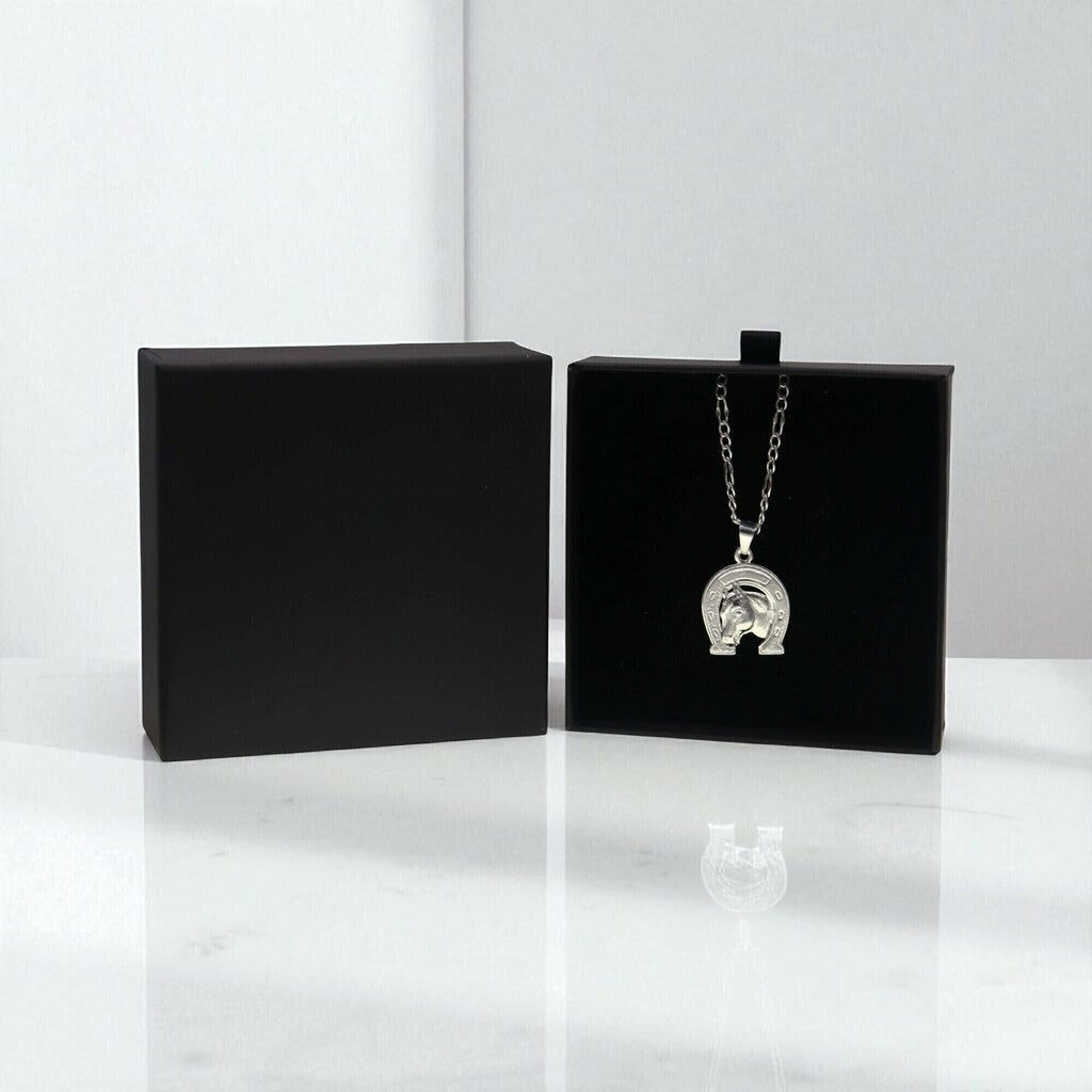 Dije Caballo Con Herradura + Cadena en Plata .925