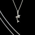 Dije De Delfin + Cadena en Plata .925