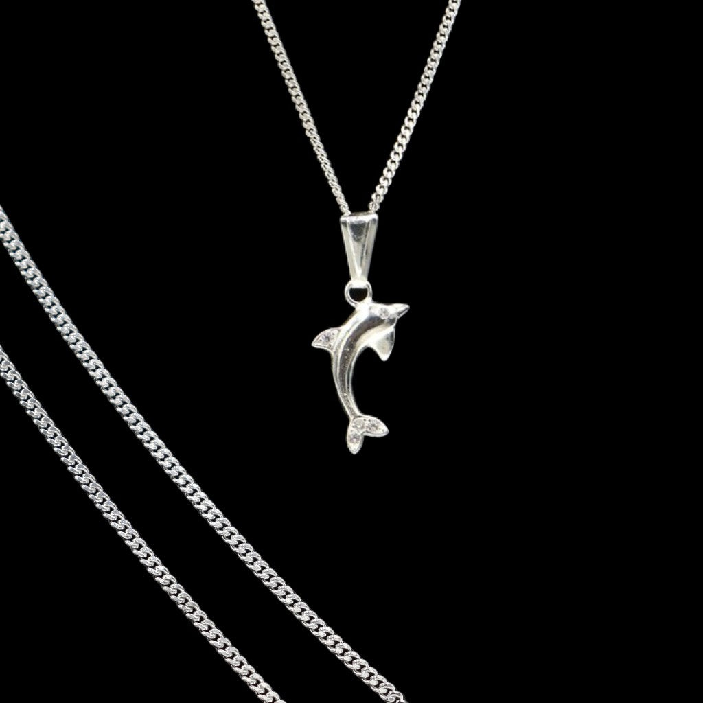 Dije De Delfin + Cadena en Plata .925