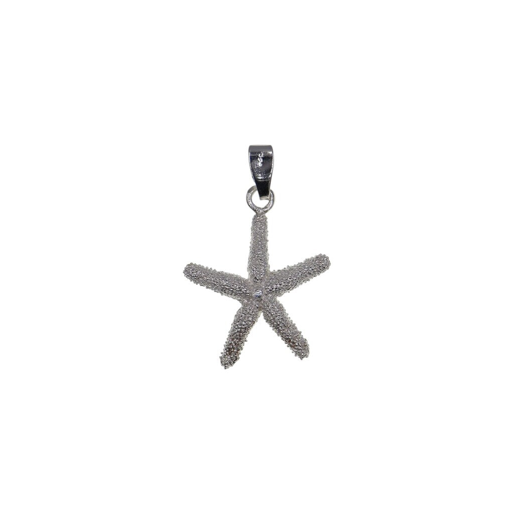 Dije Estrella De Mar + Cadena En Plata .925