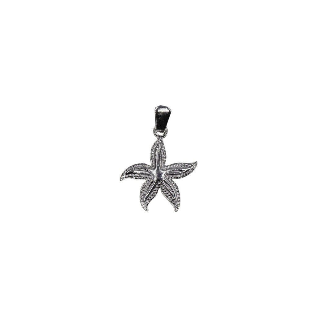Dije Estrella De Mar Chica + Cadena En Plata .925