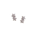 Broquel 2 Estrellas de Plata .925