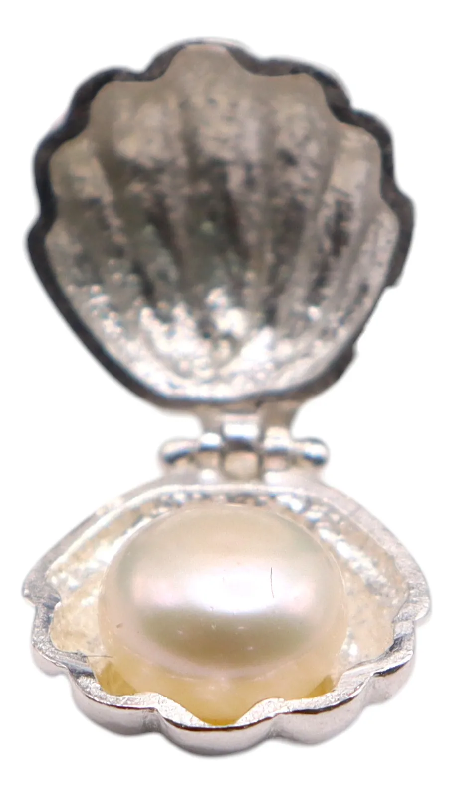 Dije De Concha Con Perla + Cadena en Plata .925