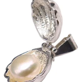 Dije De Concha Con Perla + Cadena en Plata .925