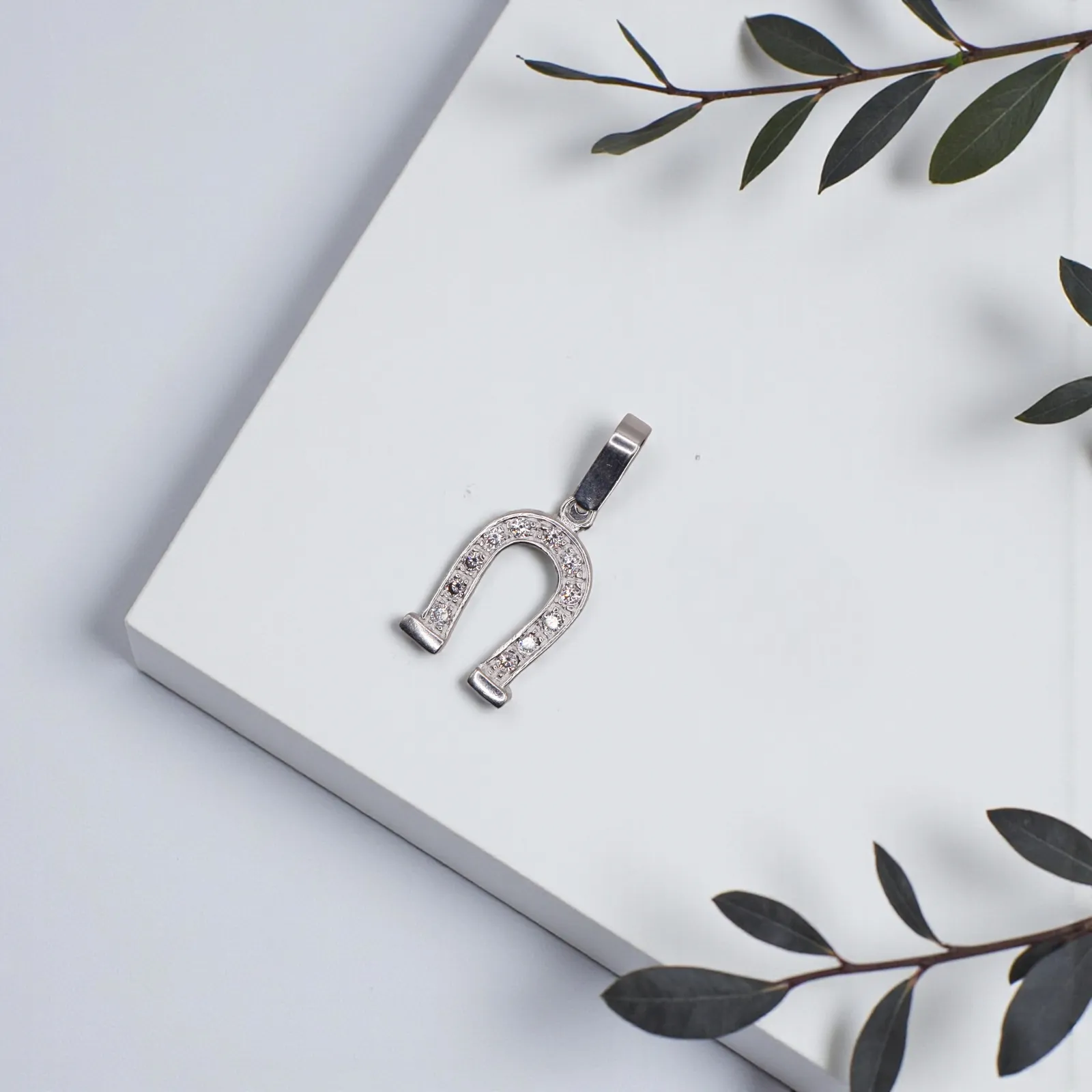 Dije Herradura De La Suerte + Cadena en Plata .925