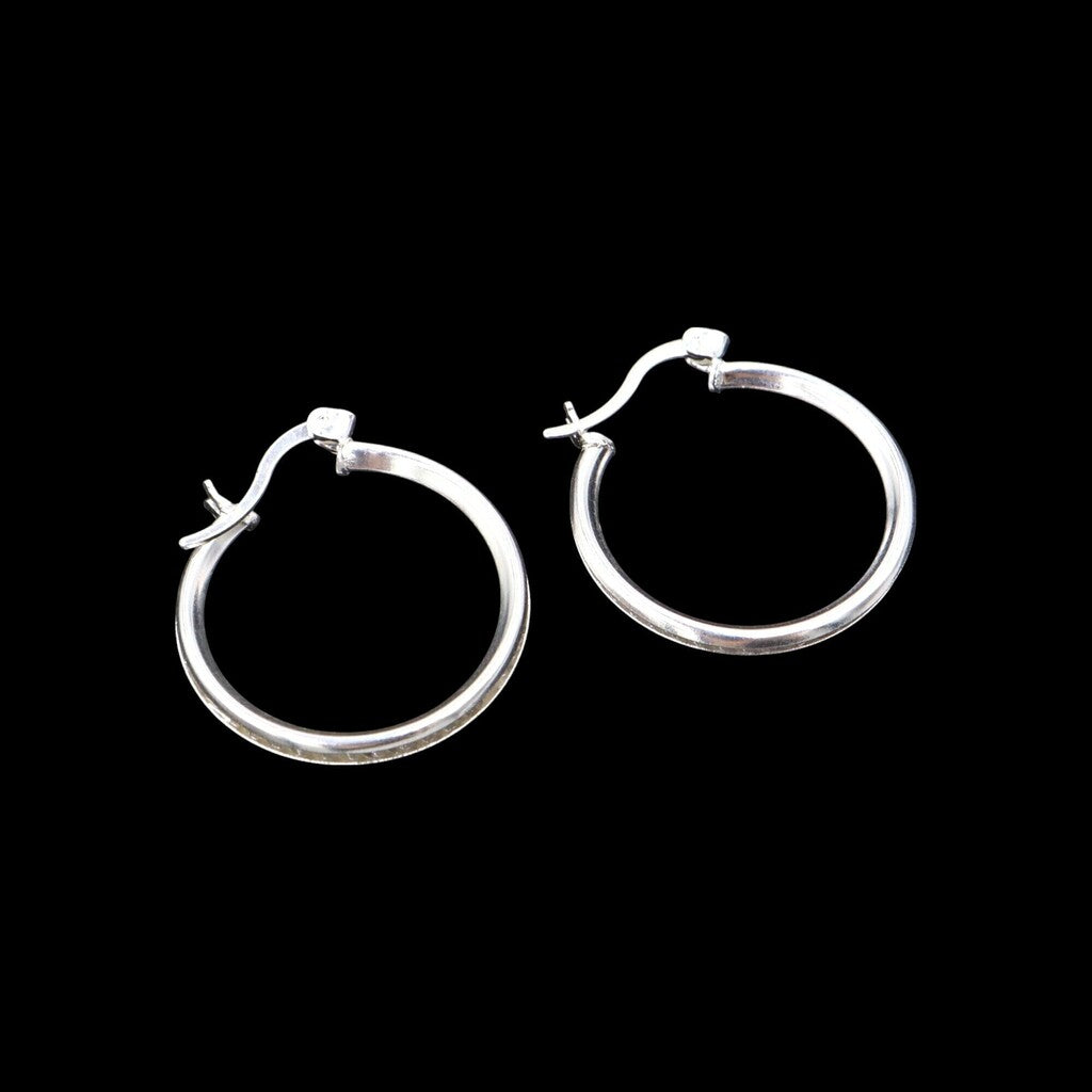 Arracadas Largas Circonia de Plata .925