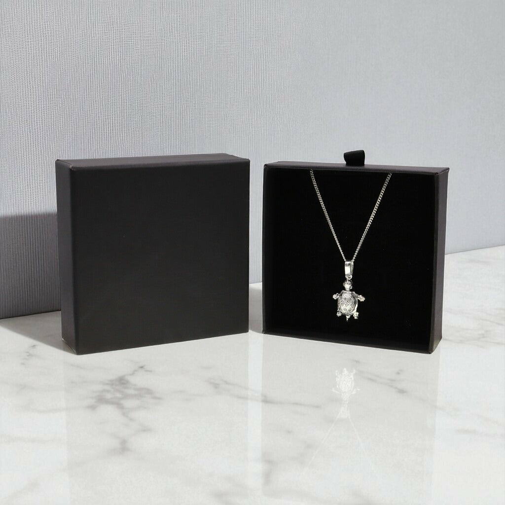 Dije De Tortuga + Cadena en Plata .925