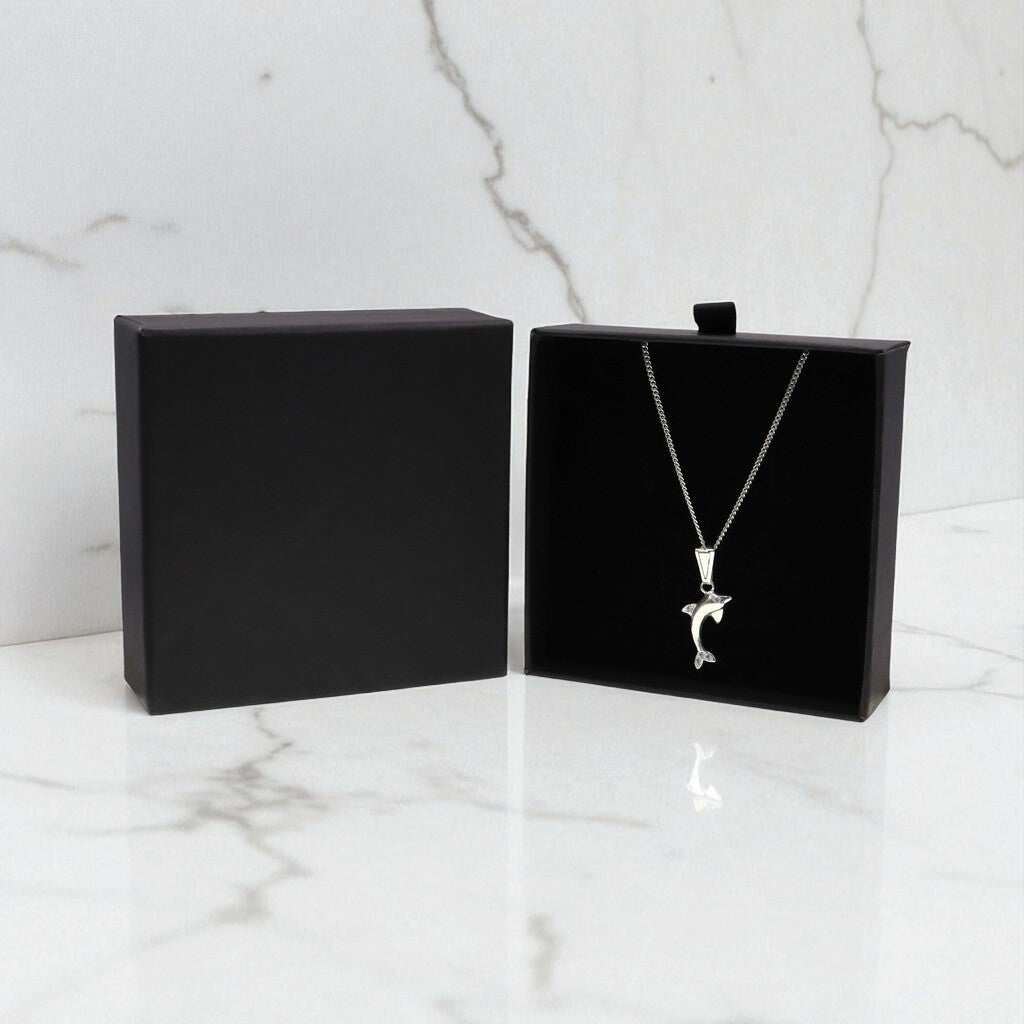 Dije De Delfin + Cadena en Plata .925