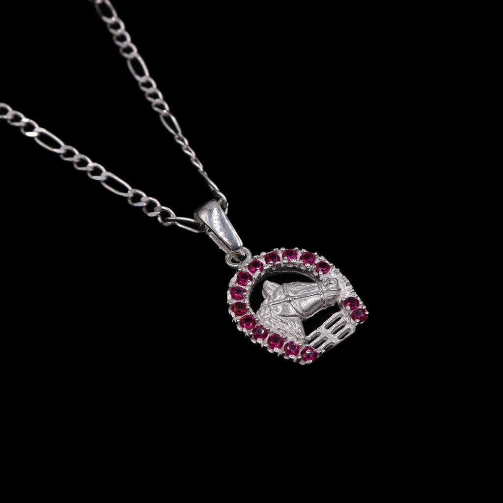 Dije De Caballo Con Herradura De Colores + Cadena en Plata .925