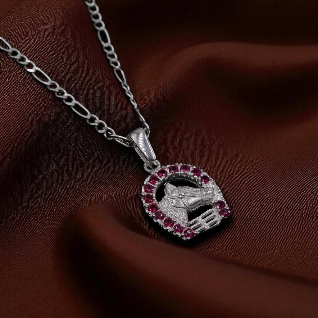 Dije De Caballo Con Herradura De Colores + Cadena en Plata .925