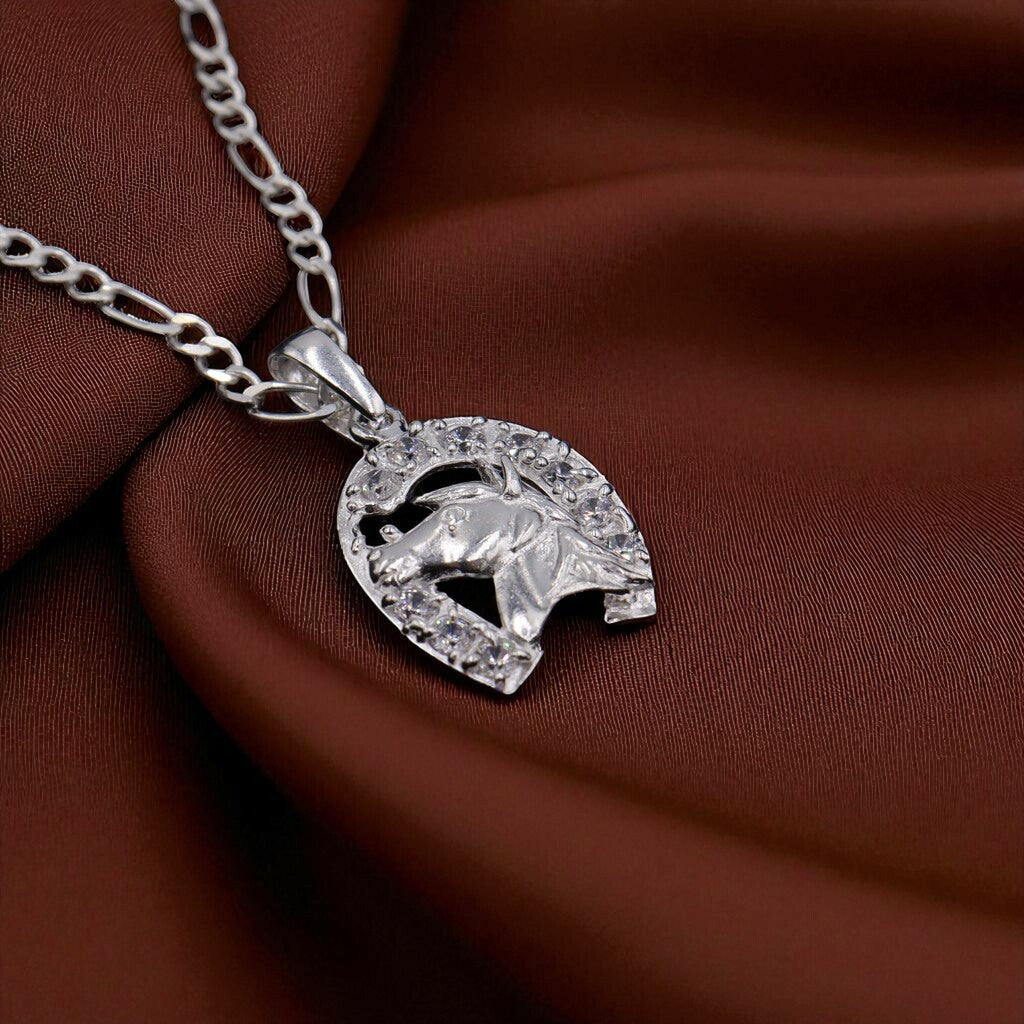 Dije Caballo Herradura + Cadena en Plata .925