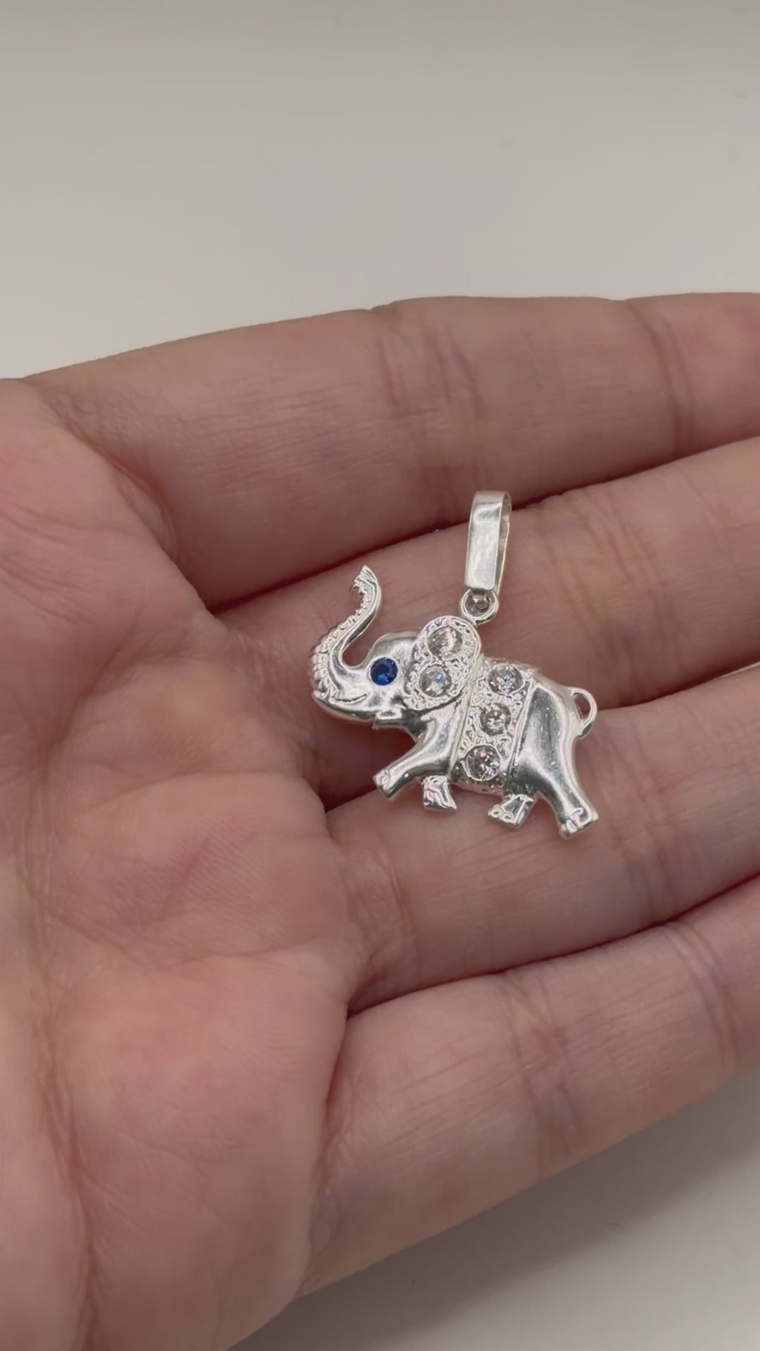 Dije De Elefante + Cadena en Plata .925