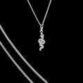Dije De Serpiente + Cadena en Plata .925