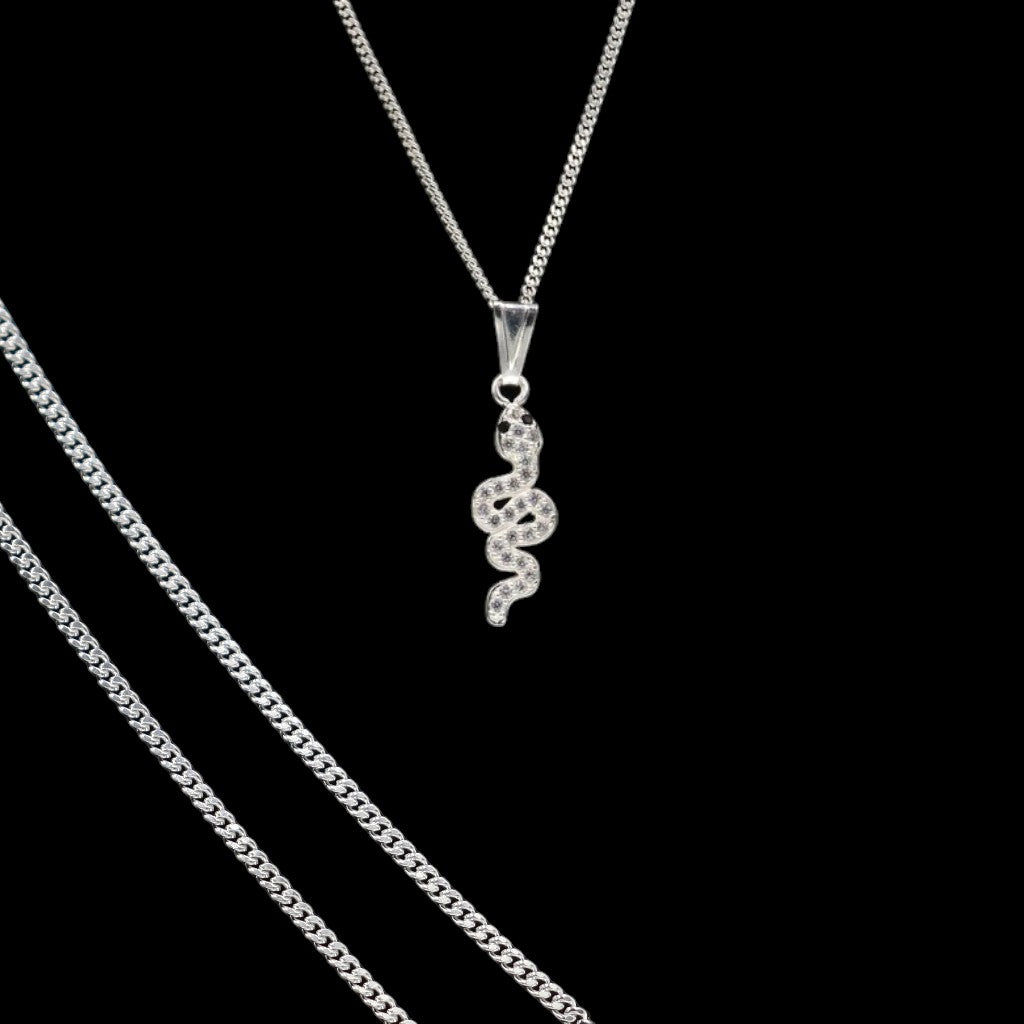 Dije De Serpiente + Cadena en Plata .925