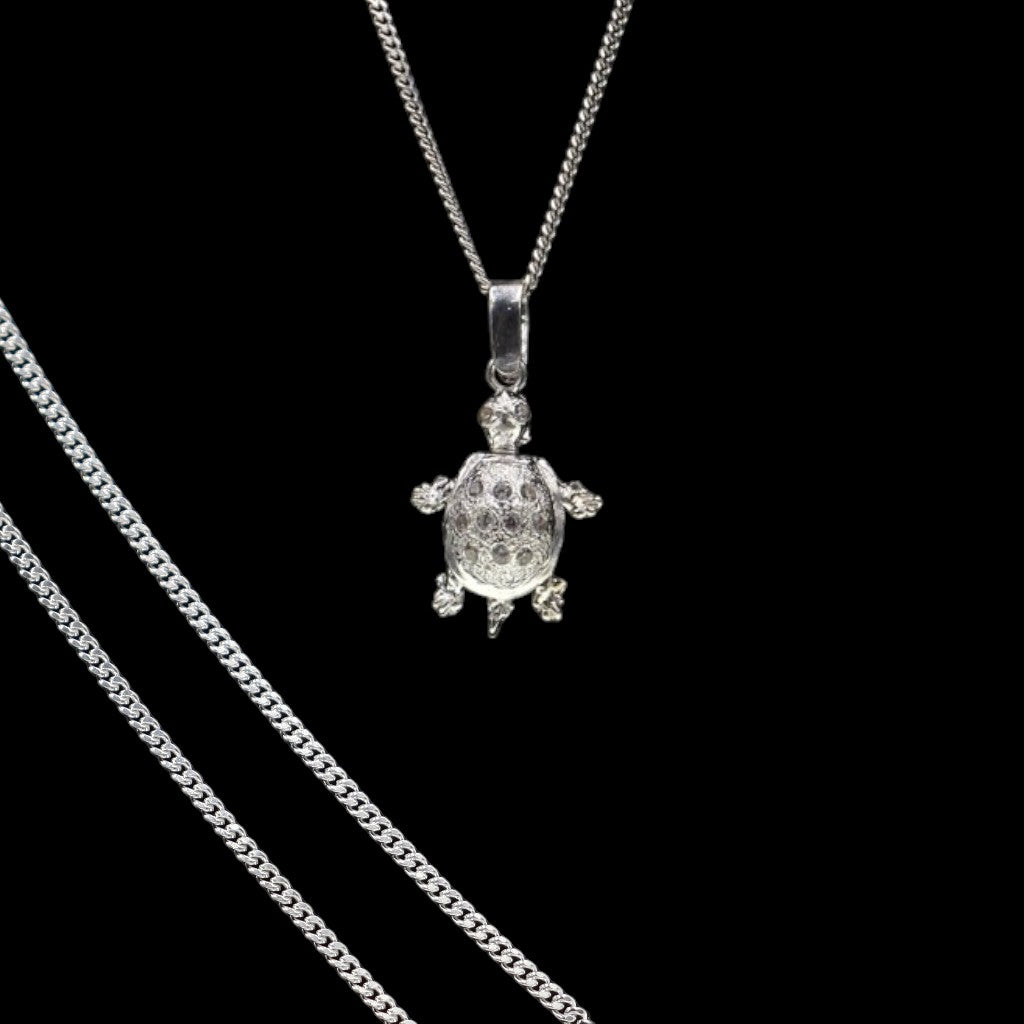 Dije De Tortuga + Cadena en Plata .925