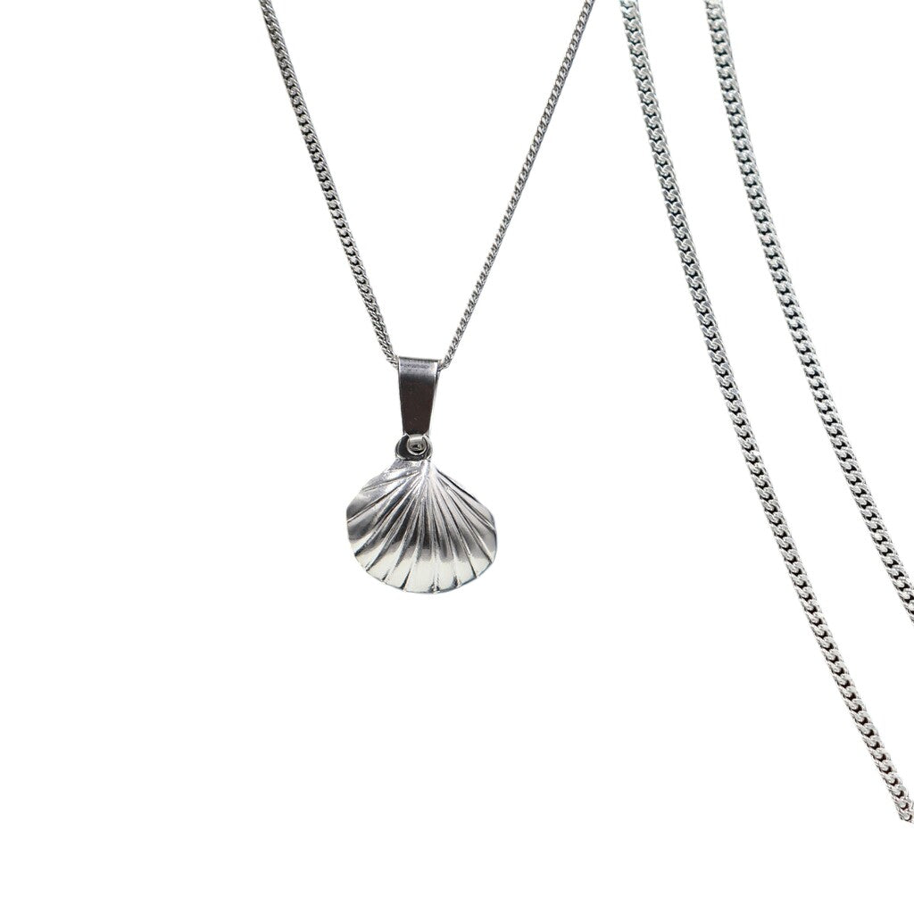 Dije De Concha + Cadena En Plata .925