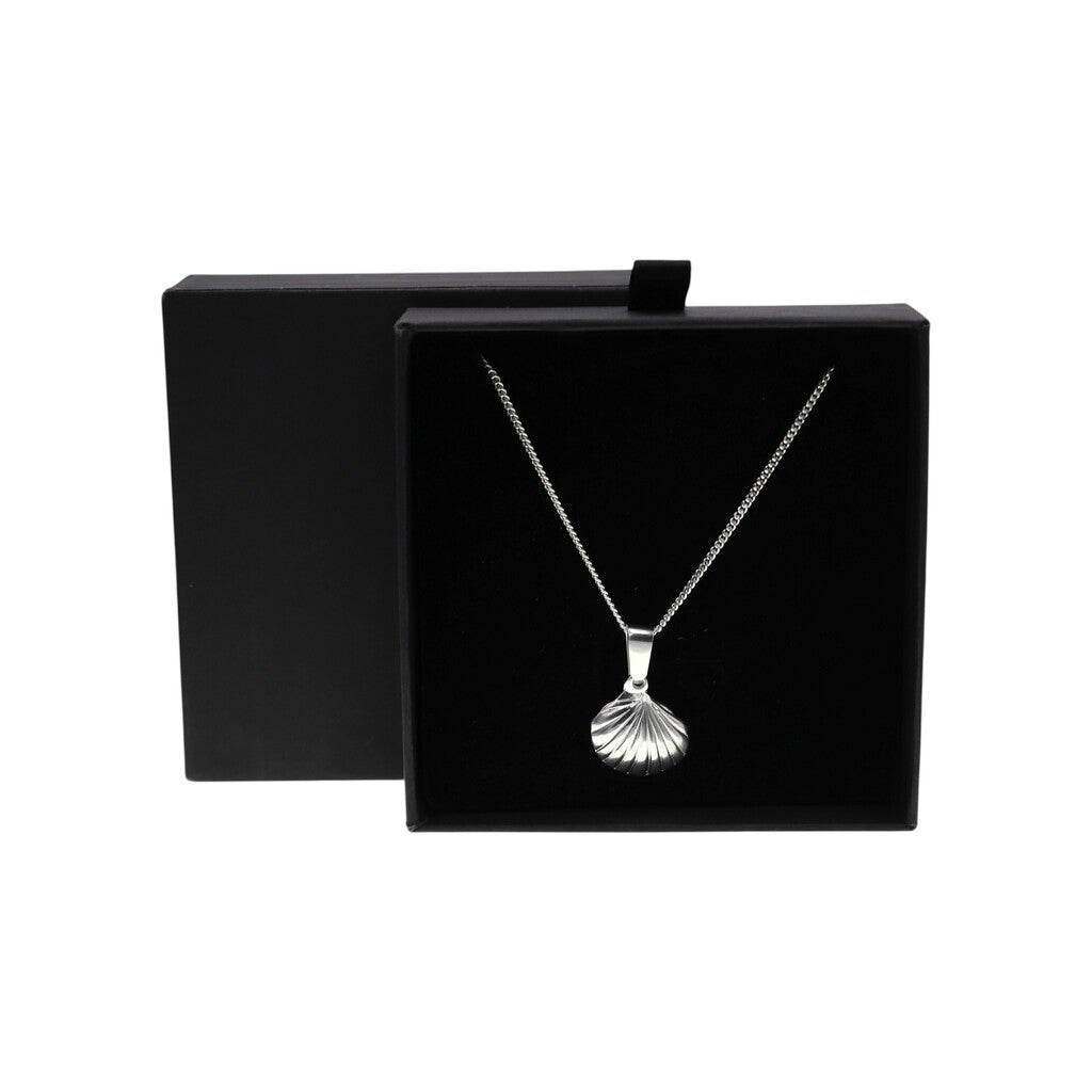 Dije De Concha + Cadena En Plata .925