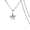 Dije Estrella De Mar Chica + Cadena En Plata .925